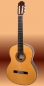 Preview: Valdez, Modell 14, Meistergitarre vollmassiv
