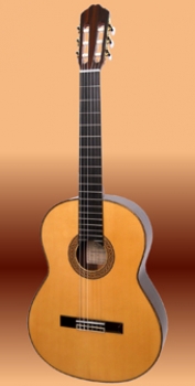 Valdez, Modell 14, Meistergitarre vollmassiv